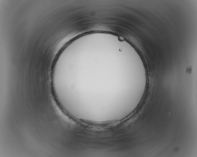 X0000113761133200910211203