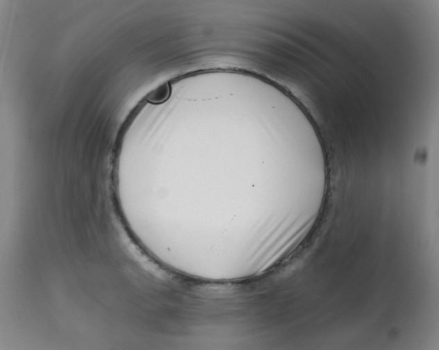 X0000113761134200910211203