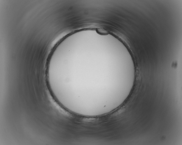 X0000113761135200910211203