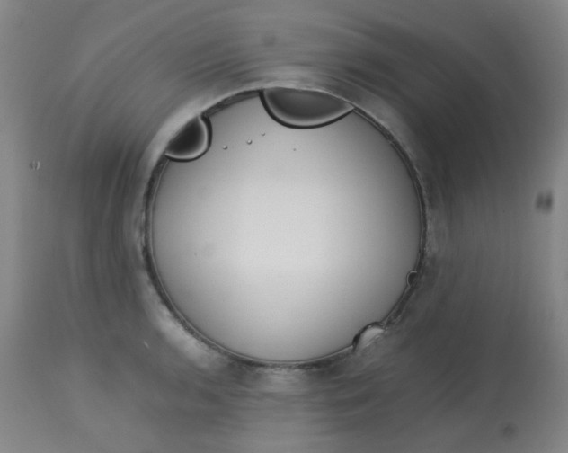 X0000113761136200910211203