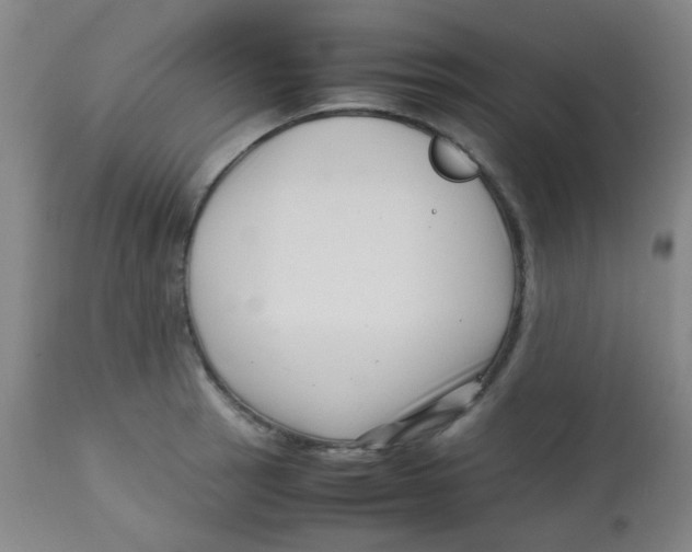 X0000113761137200910211203