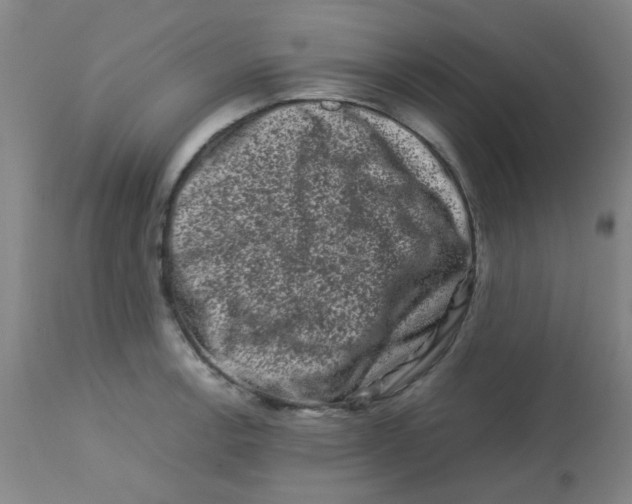 X0000113761138200910211203