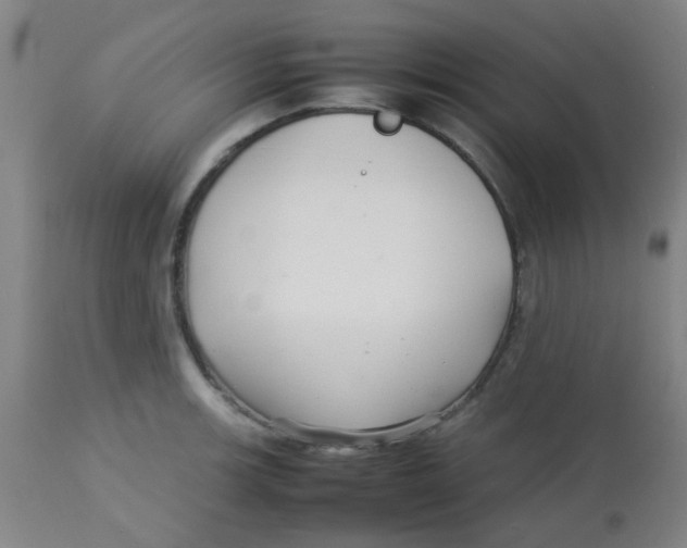 X0000113761139200910211203