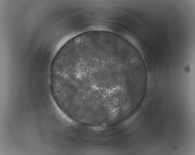 X0000113761141200910211203