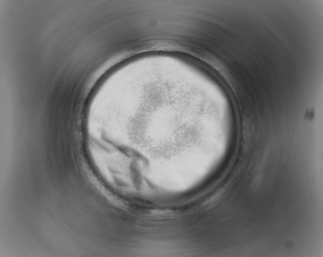 X0000113761142200910211203