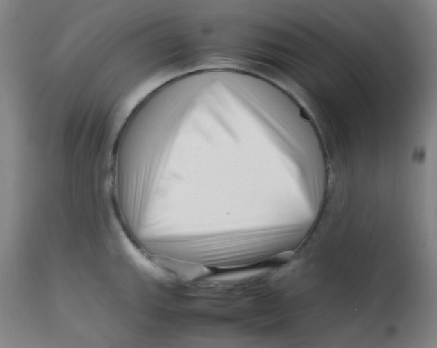 X0000113761143200910211203