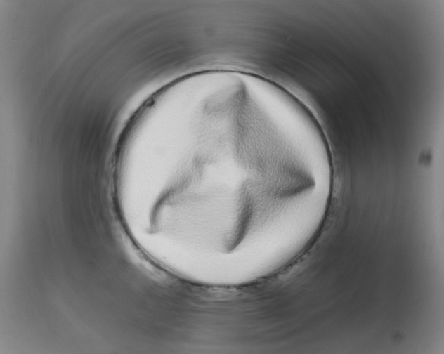 X0000113761144200910211203