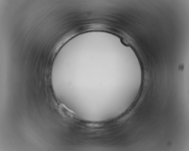 X0000113761145200910211203