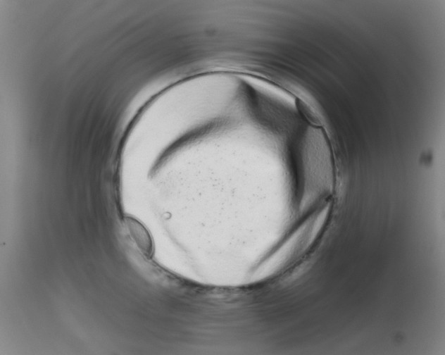 X0000113761146200910211203