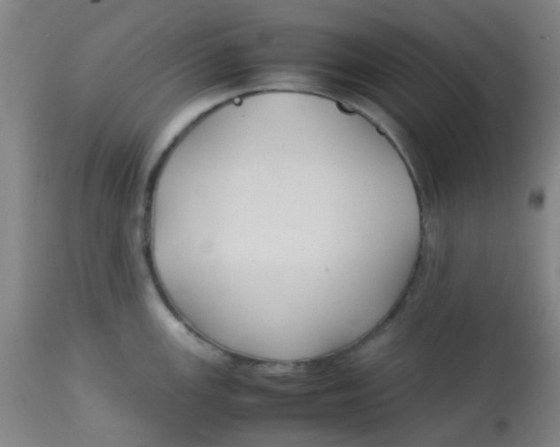 X0000113761147200910211203
