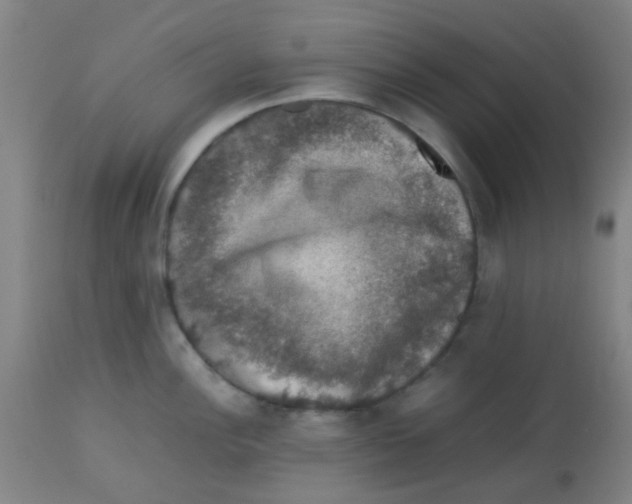 X0000113761148200910211203