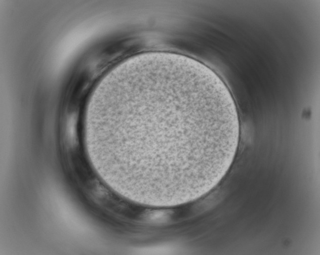 X0000113761150200910211203