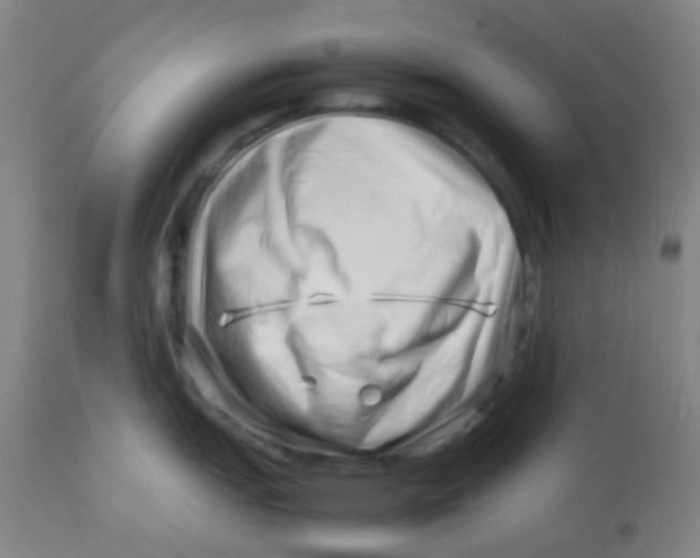 X0000113761151200910211203