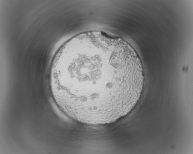 X0000113761152200910211203