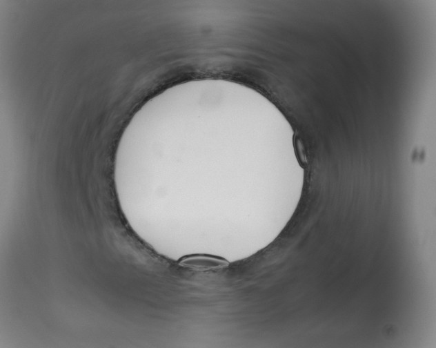 X0000113761153200910211203