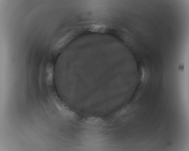 X0000113761154200910211203