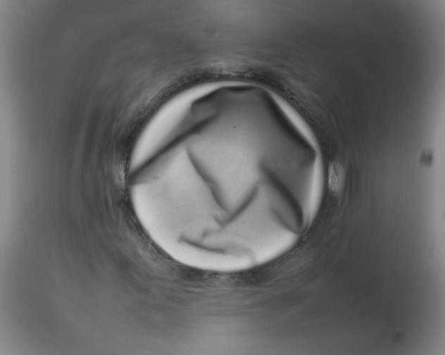 X0000113761155200910211203