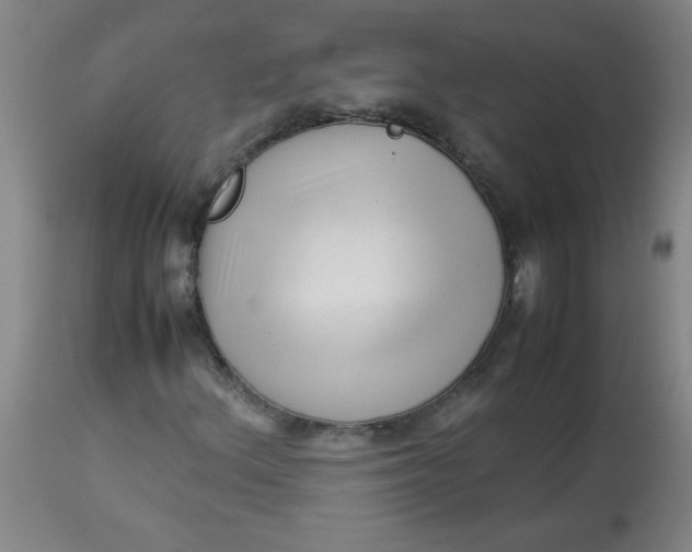 X0000113761156200910211202