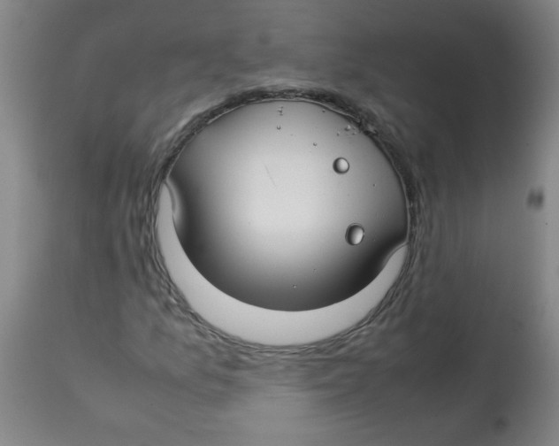 X0000113761157200910211202