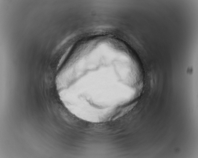 X0000113761158200910211202