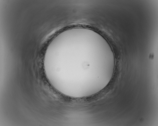 X0000113761159200910211202