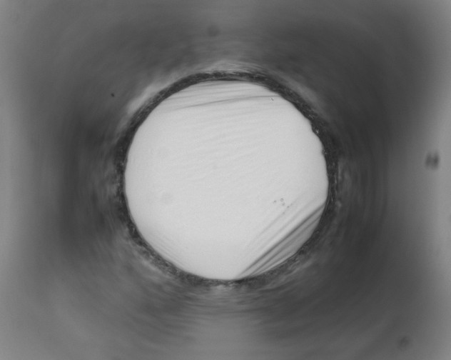 X0000113761160200910211202