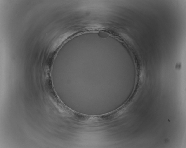 X0000113761161200910211202