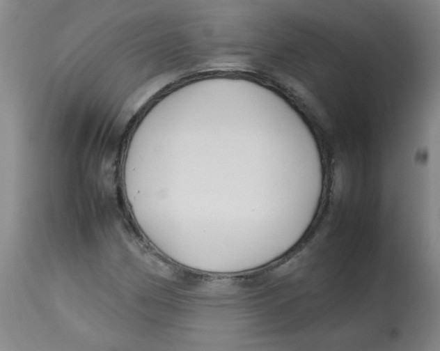 X0000113761162200910211202