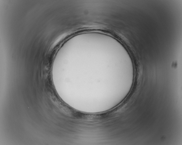 X0000113761163200910211202