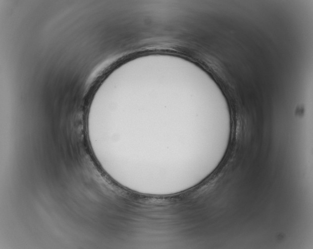 X0000113761164200910211202