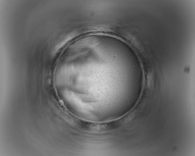 X0000113761165200910211202