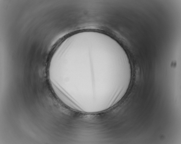 X0000113761166200910211202