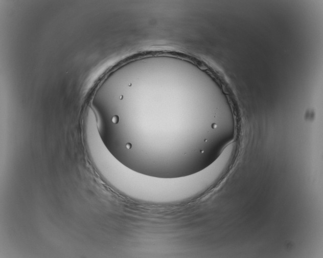 X0000113761167200910211202