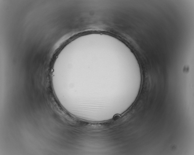 X0000113761168200910211202