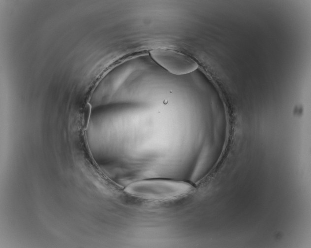 X0000113761169200910211202