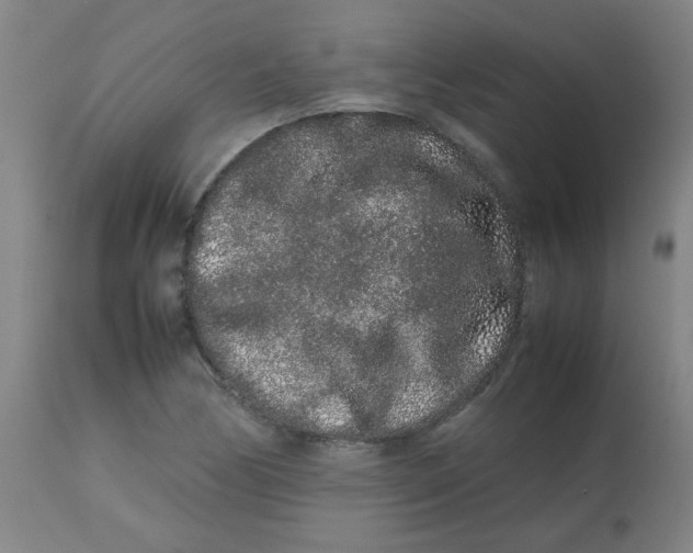 X0000113761170200910211202