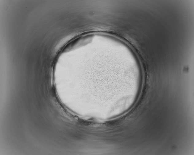 X0000113761171200910211202