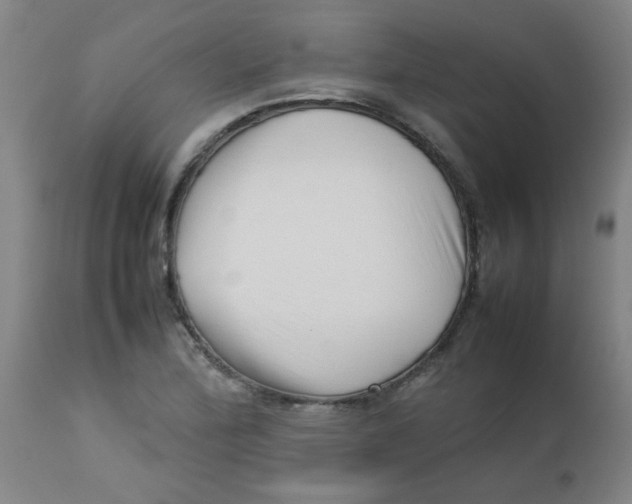 X0000113761172200910211202