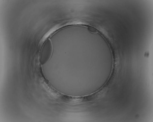 X0000113761173200910211202