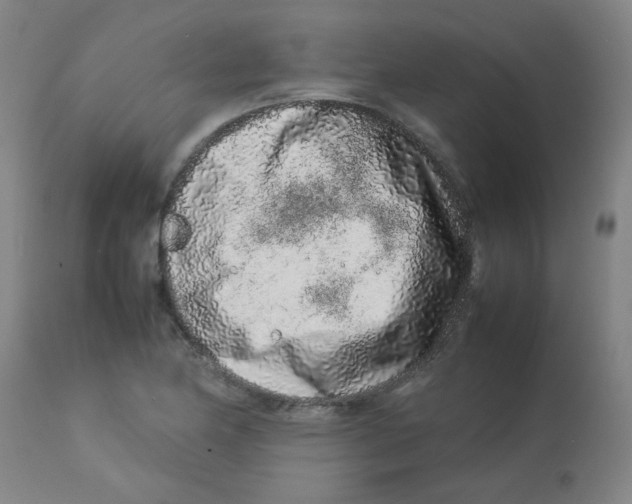 X0000113761174200910211202