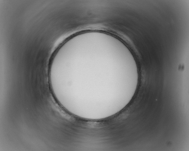 X0000113761176200910211202