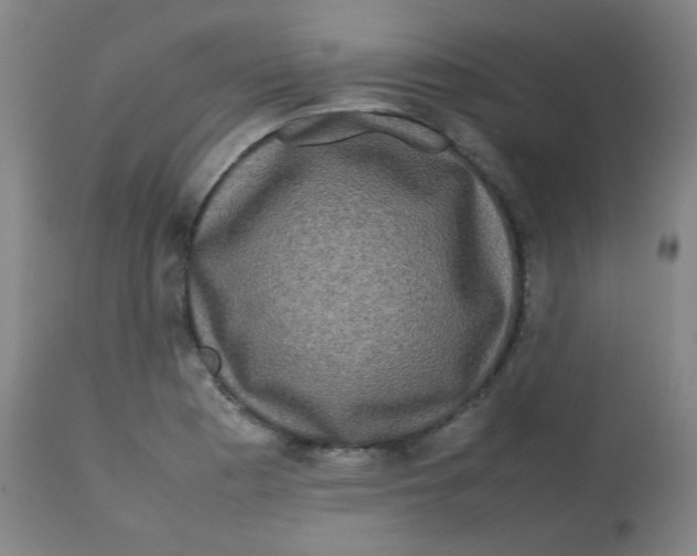 X0000113761177200910211202