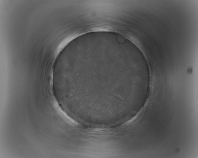 X0000113761179200910211202