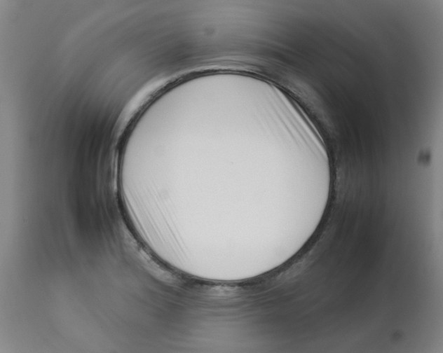 X0000113761180200910211202