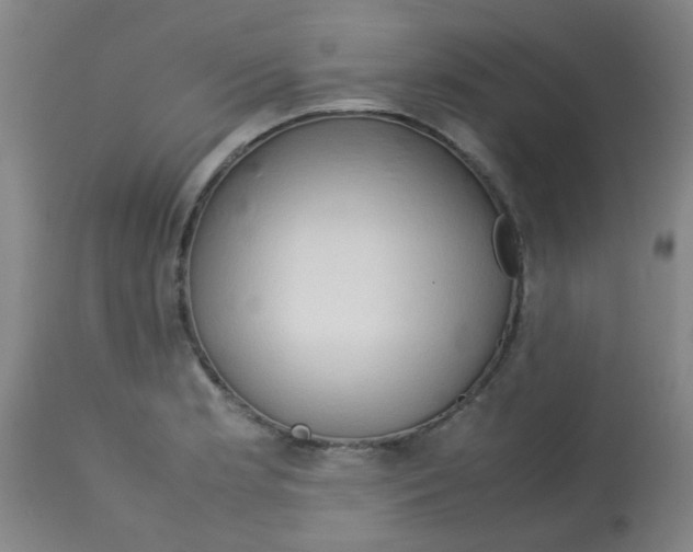 X0000113761181200910211202