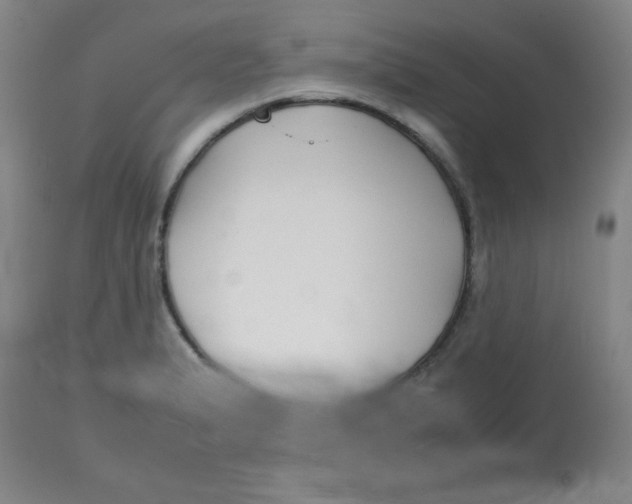 X0000113761183200910211202