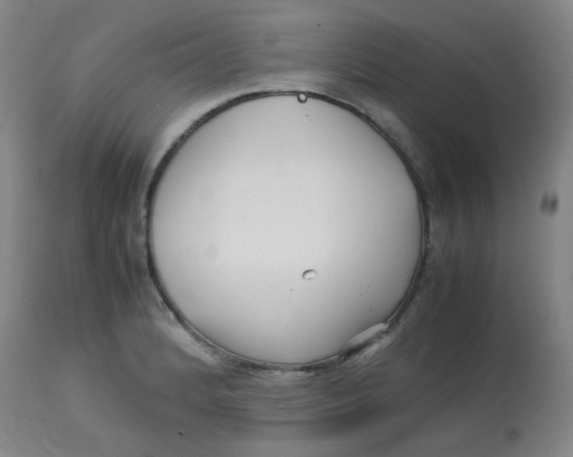 X0000113761184200910211202