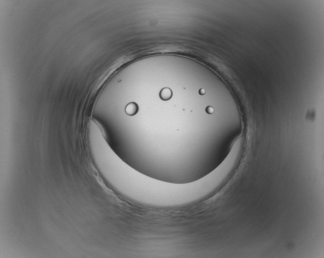 X0000113761185200910211202