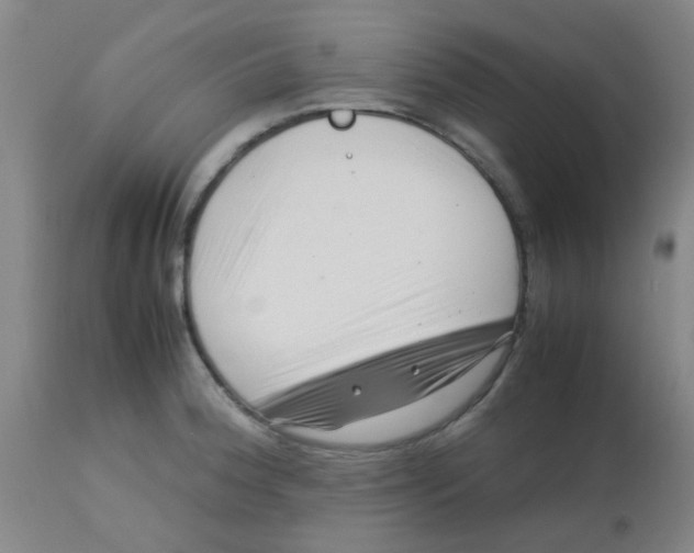 X0000113761188200910211202