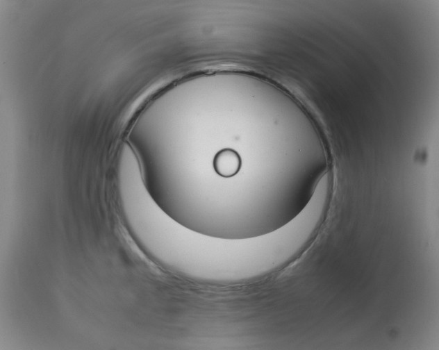 X0000113761189200910211202